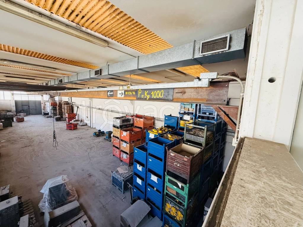 immagine annuncio 9 di 15