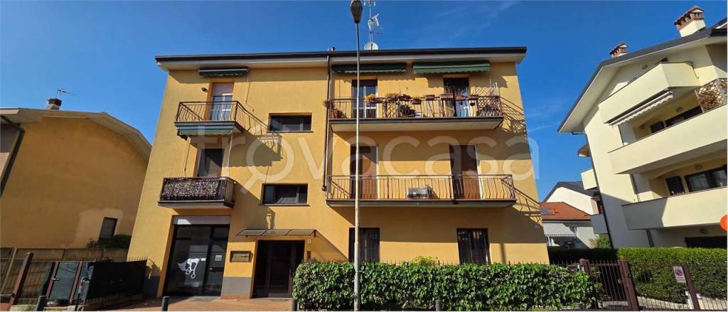 immagine annuncio 1 di 14