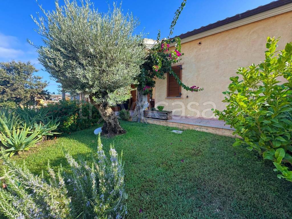 immagine annuncio 3 di 13