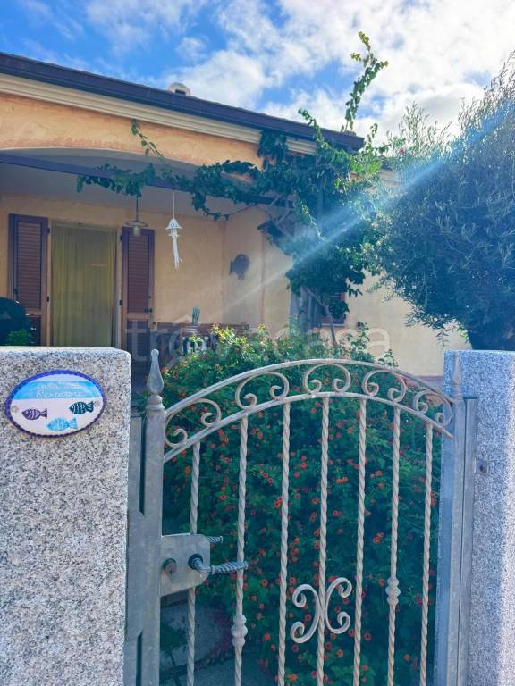 immagine annuncio 7 di 13