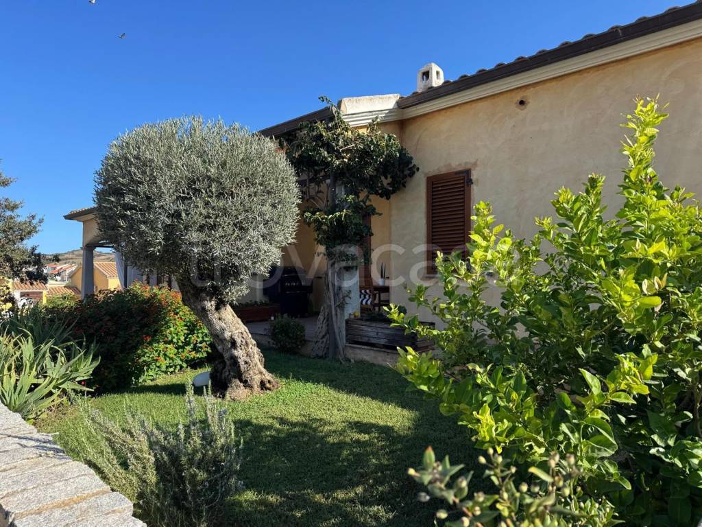 immagine annuncio 8 di 13