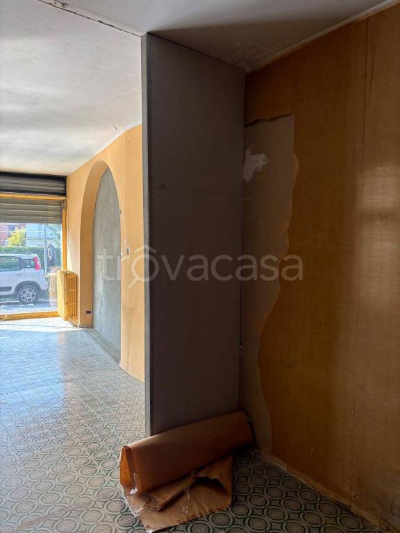 immagine annuncio 5 di 14