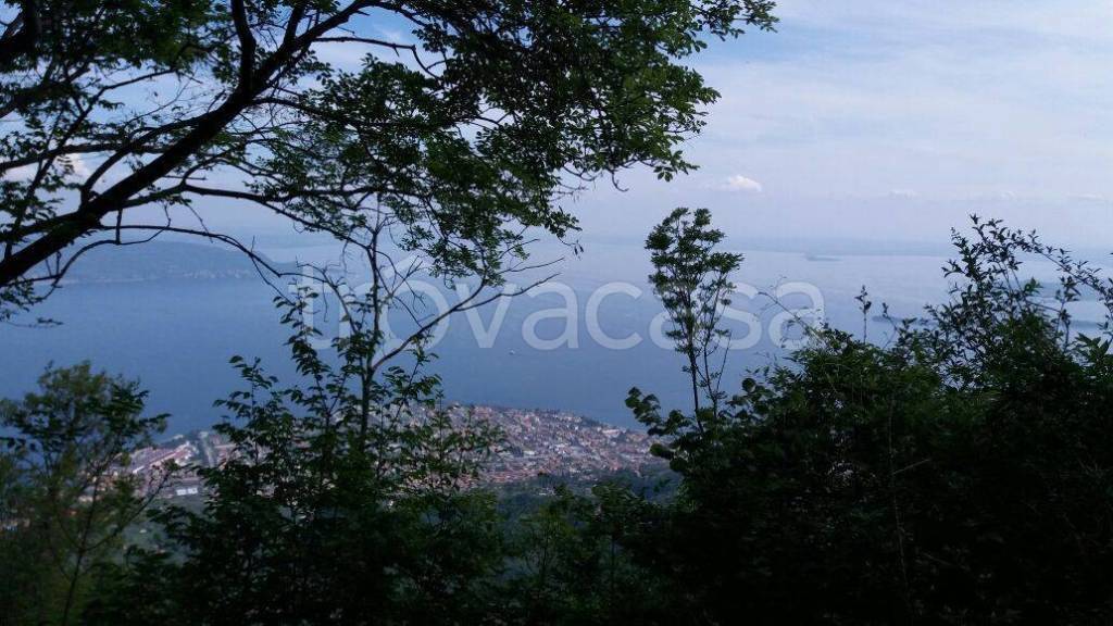 immagine annuncio 2 di 6