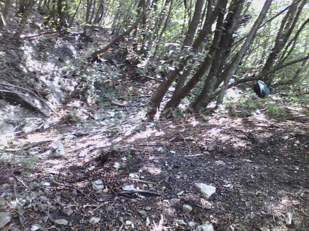 immagine annuncio 4 di 6