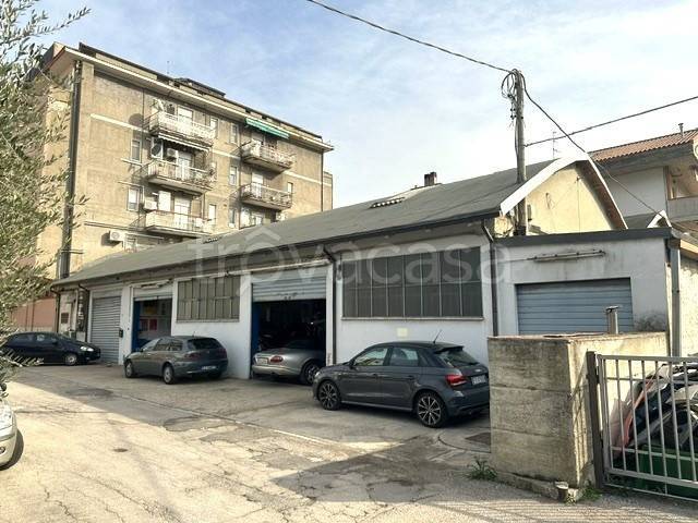 immagine annuncio 2 di 4