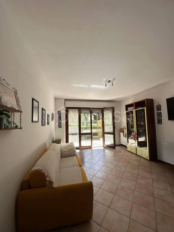 immagine annuncio 6 di 14