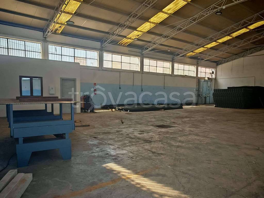 immagine annuncio 1 di 14