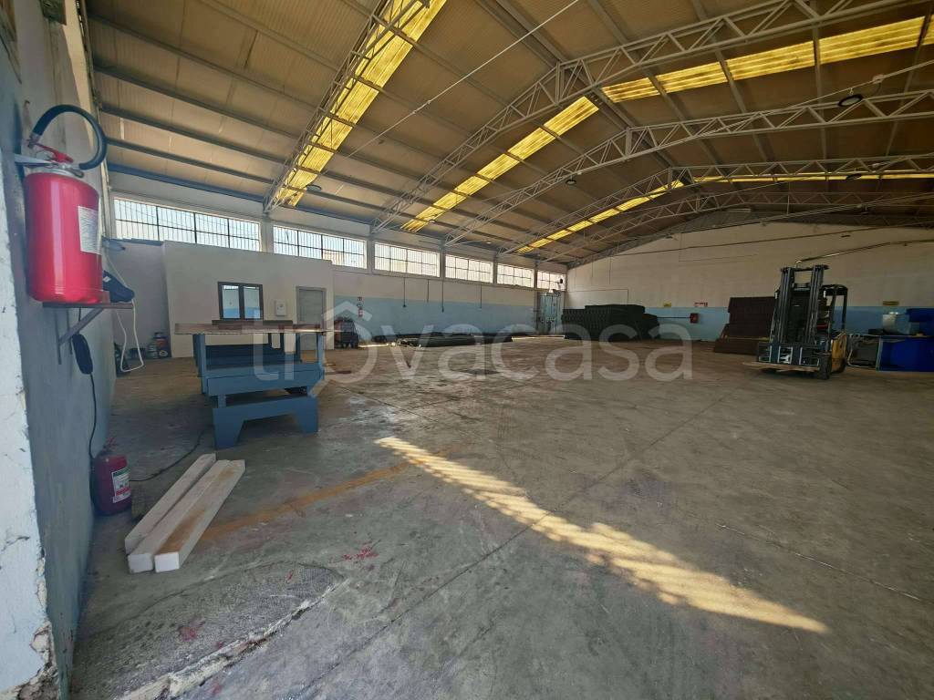 immagine annuncio 3 di 14