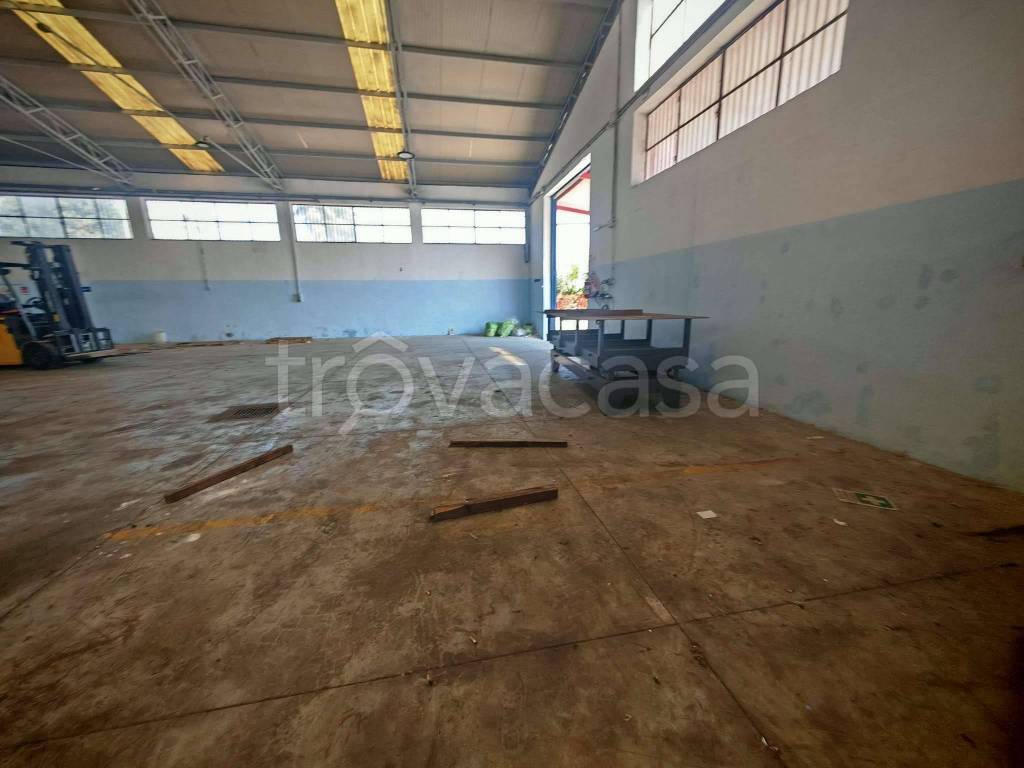 immagine annuncio 4 di 14