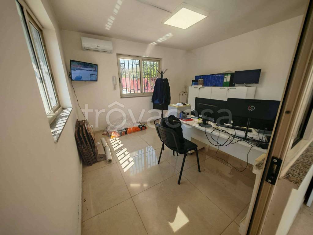 immagine annuncio 5 di 14