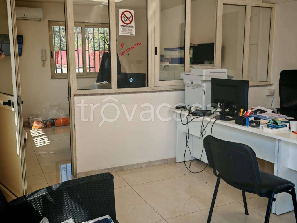 immagine annuncio 9 di 14