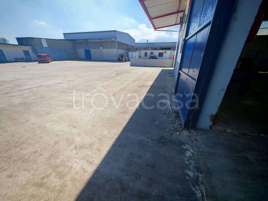 immagine annuncio 10 di 14