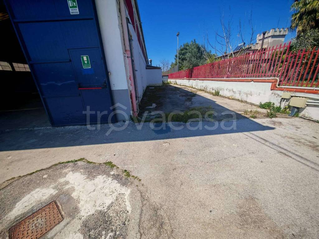 immagine annuncio 11 di 14