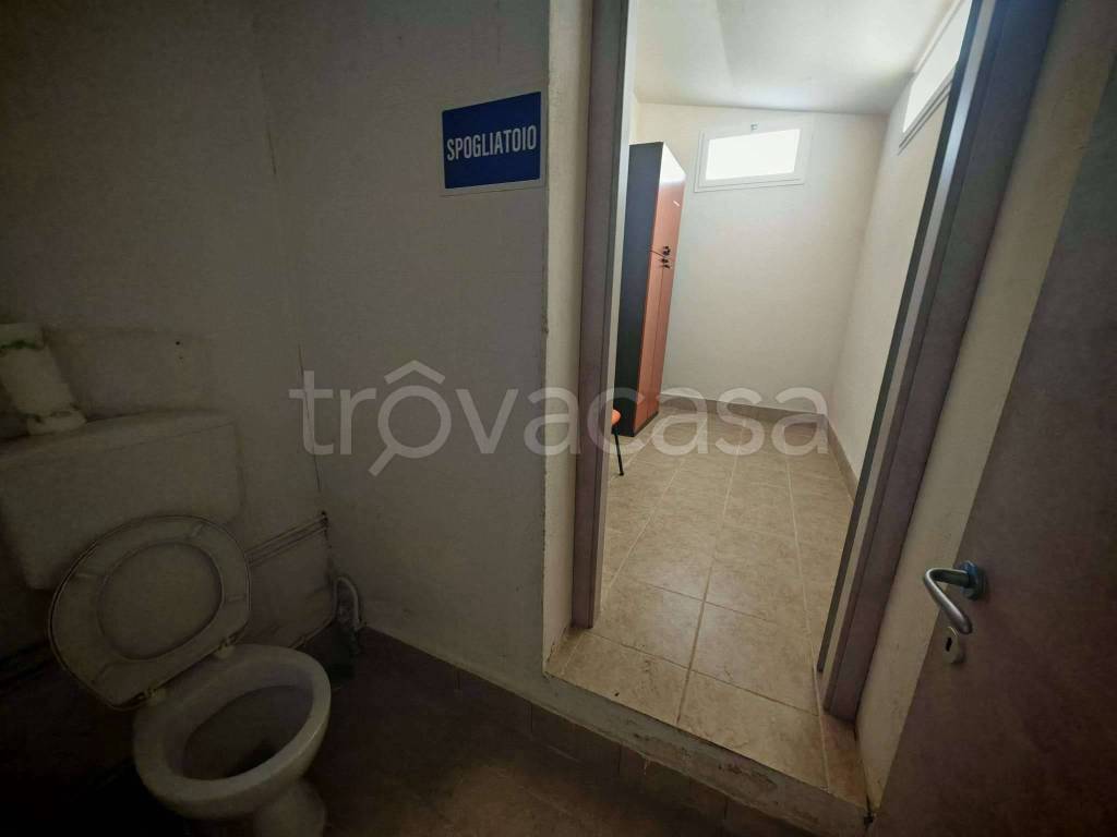 immagine annuncio 12 di 14