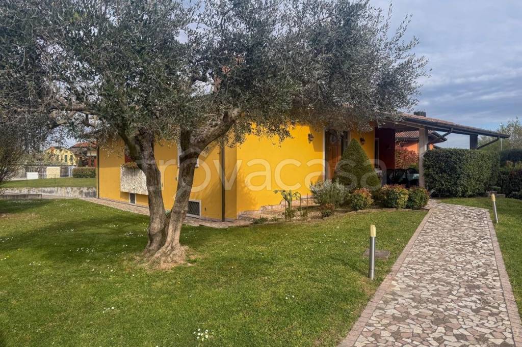 immagine annuncio 2 di 15