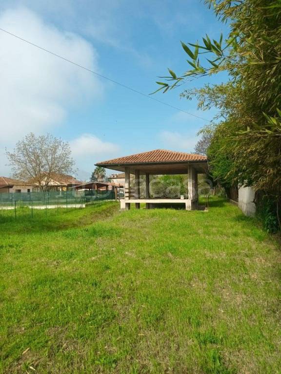 immagine annuncio 7 di 12