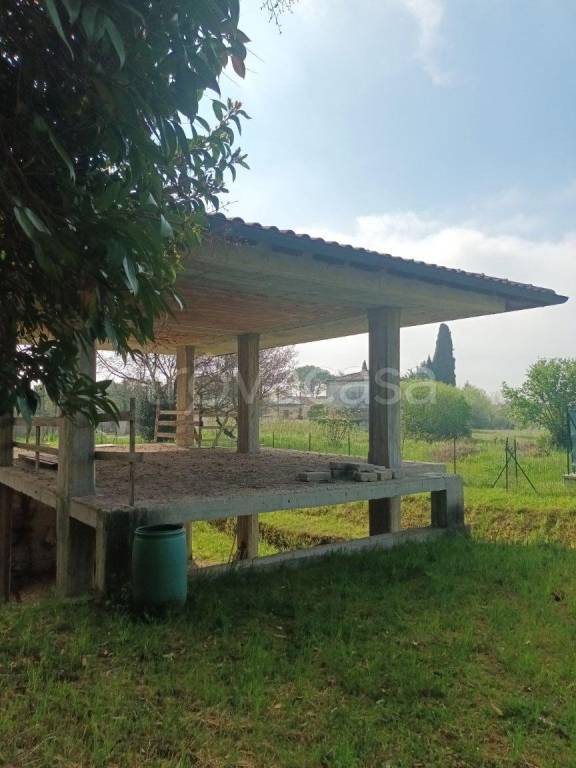 immagine annuncio 4 di 12