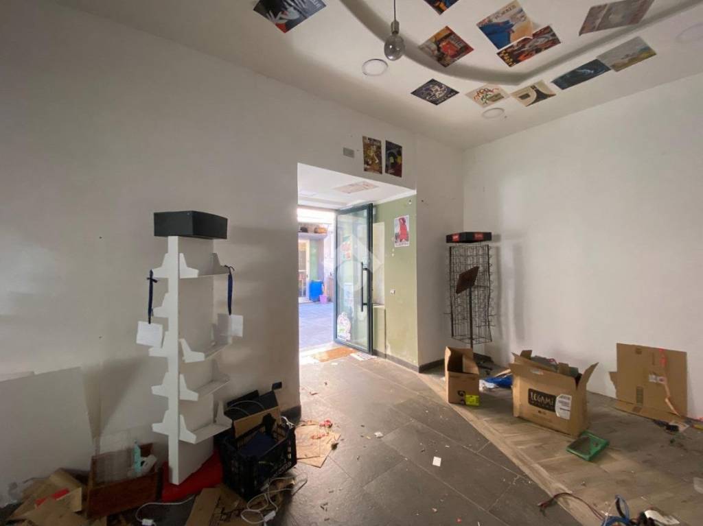 immagine annuncio 2 di 12