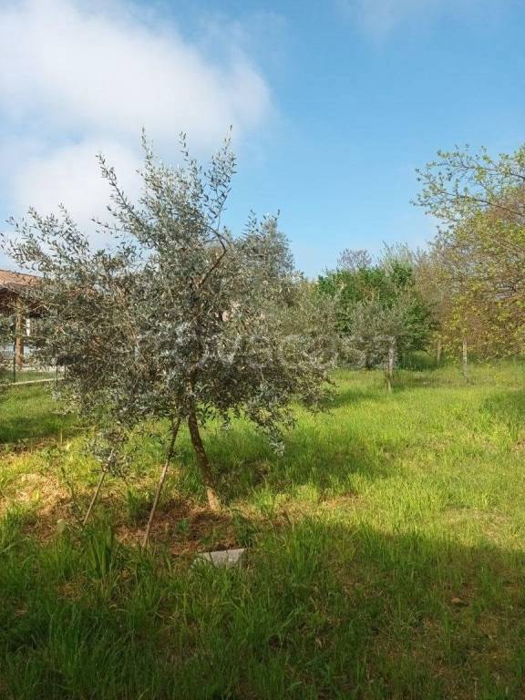 immagine annuncio 10 di 12