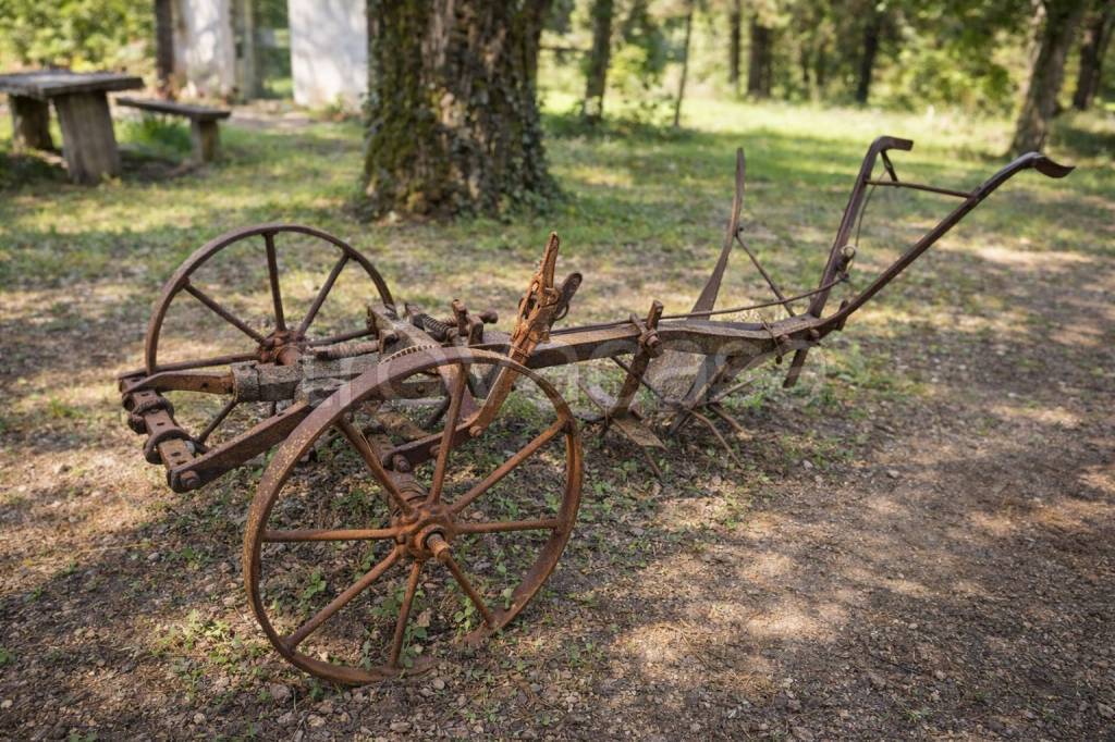 immagine annuncio 6 di 15