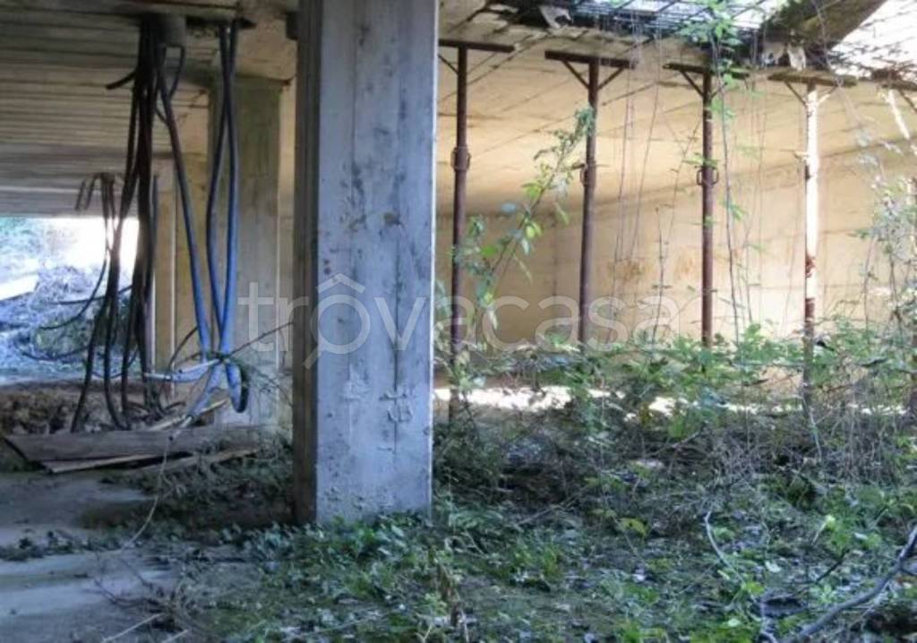 immagine annuncio 7 di 13