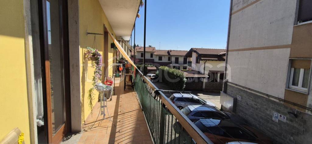 immagine annuncio 8 di 15