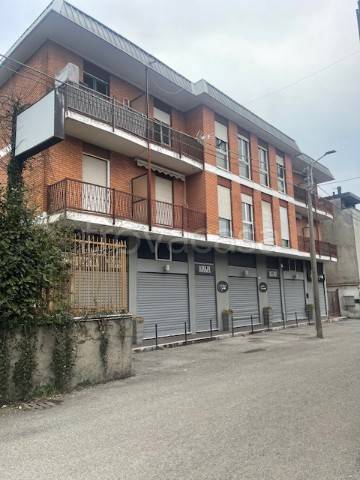 immagine annuncio 1 di 6