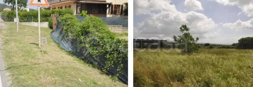 immagine annuncio 4 di 14