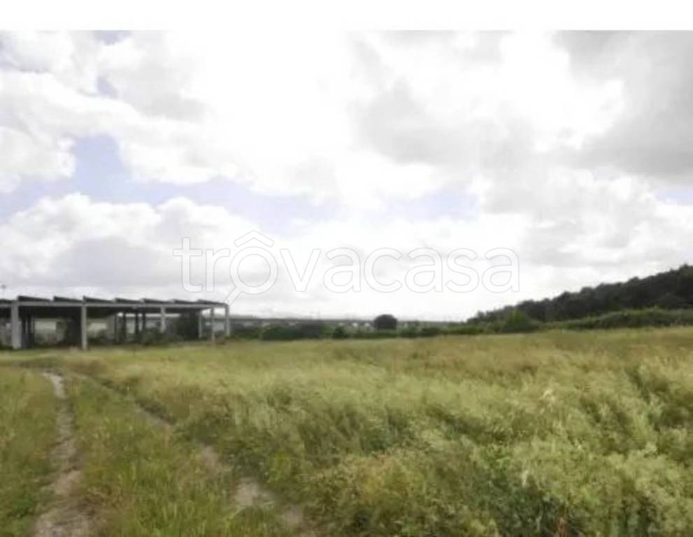 immagine annuncio 6 di 14