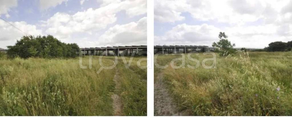 immagine annuncio 8 di 14