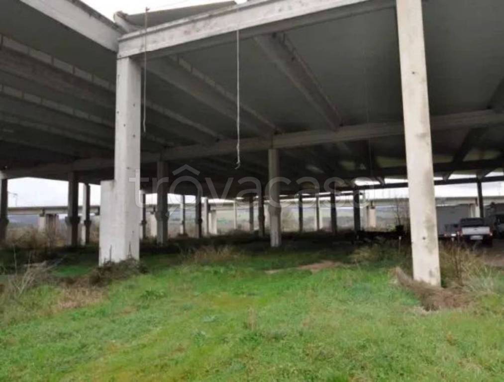 immagine annuncio 10 di 14