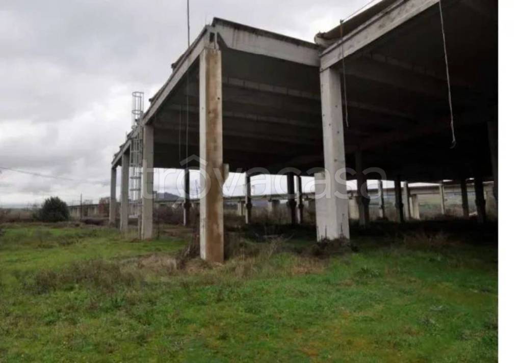 immagine annuncio 11 di 14