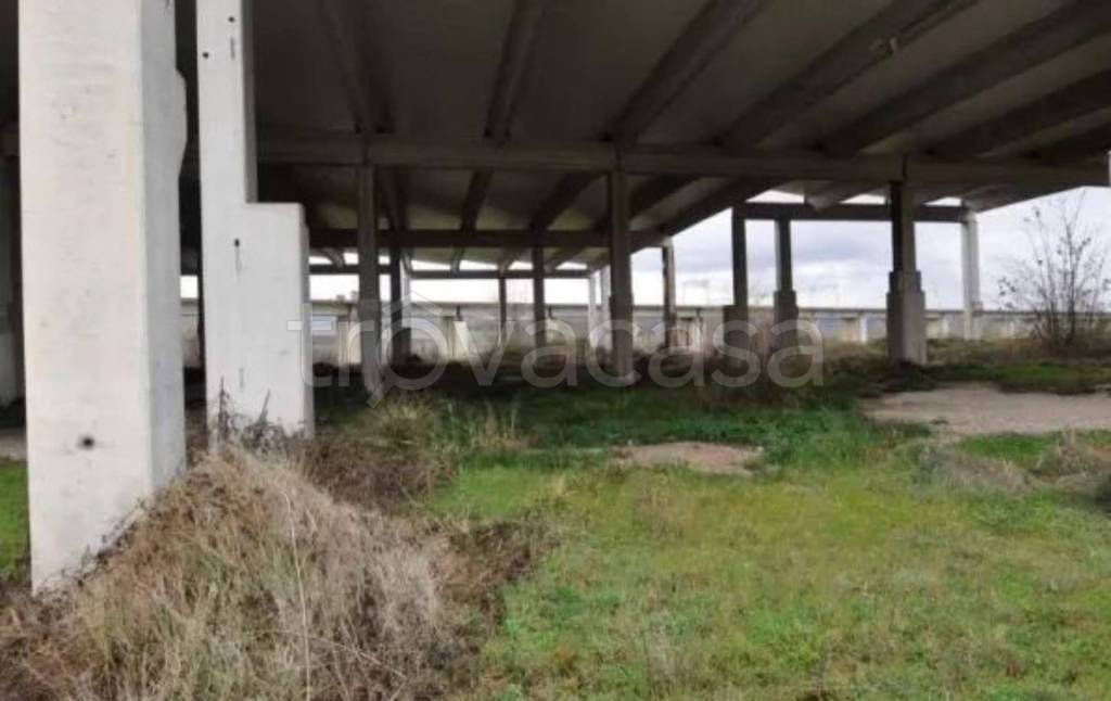 immagine annuncio 12 di 14