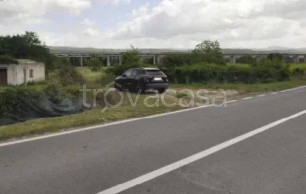 immagine annuncio 13 di 14