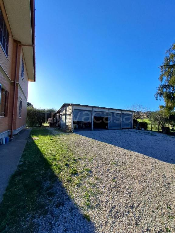 immagine annuncio 6 di 12