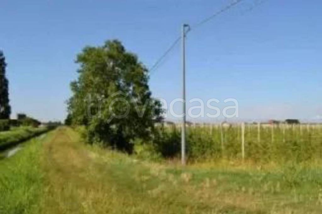 immagine annuncio 4 di 12