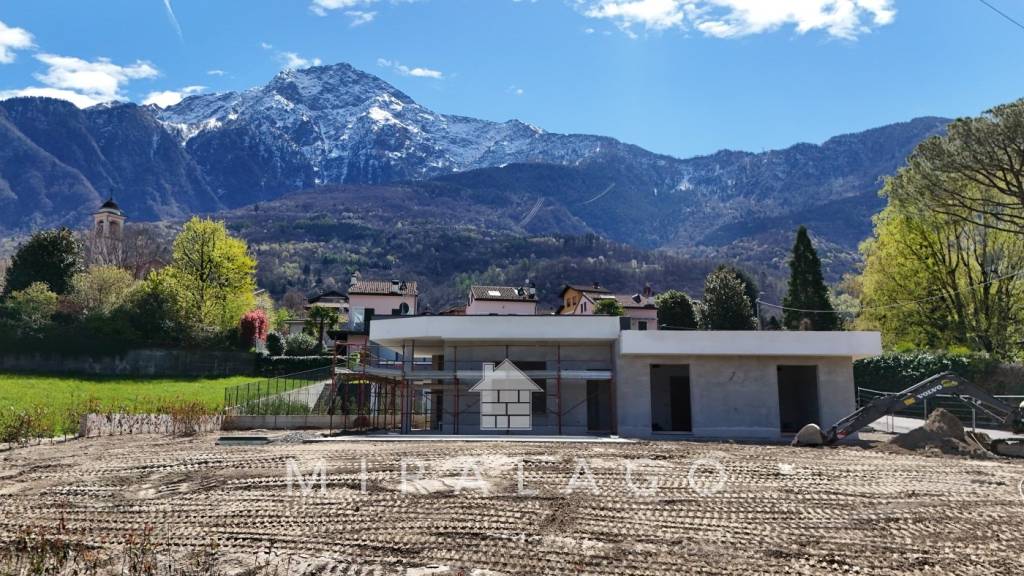 immagine annuncio 2 di 12