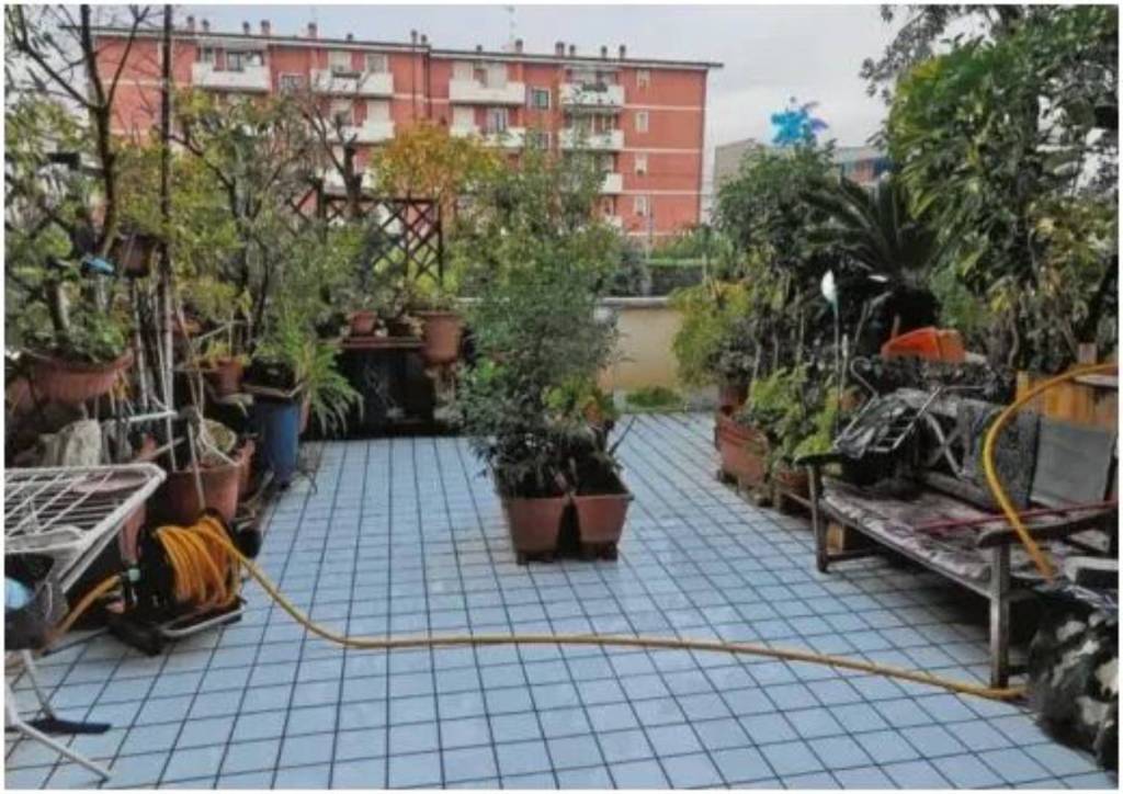 immagine annuncio 7 di 15