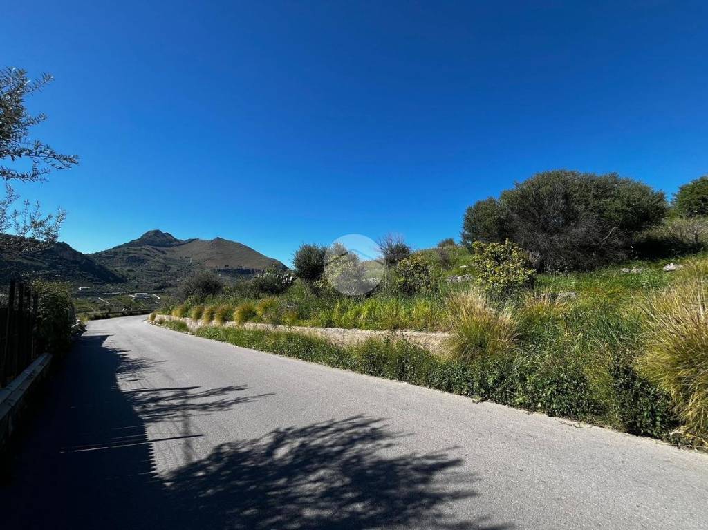 immagine annuncio 9 di 14