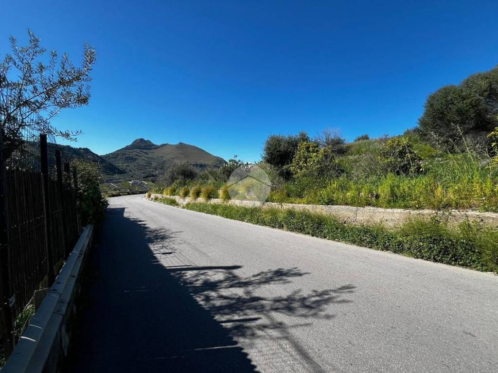 immagine annuncio 11 di 14