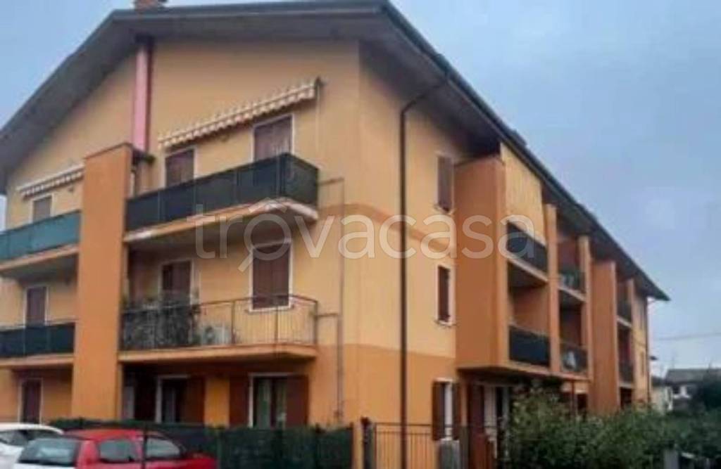 immagine annuncio 9 di 15