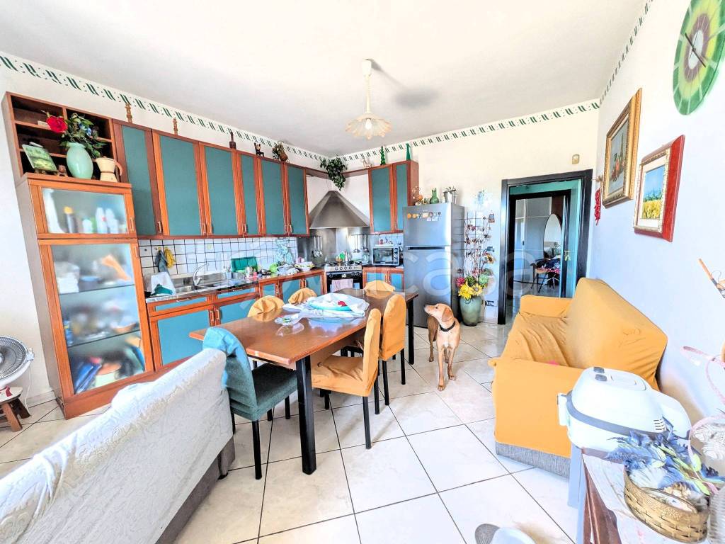 immagine annuncio 4 di 8