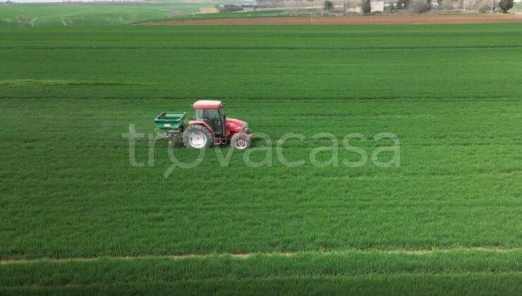 immagine annuncio 1 di 4