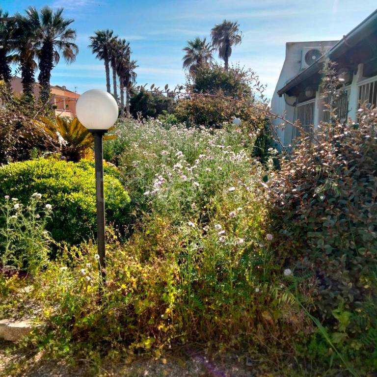 immagine annuncio 11 di 14