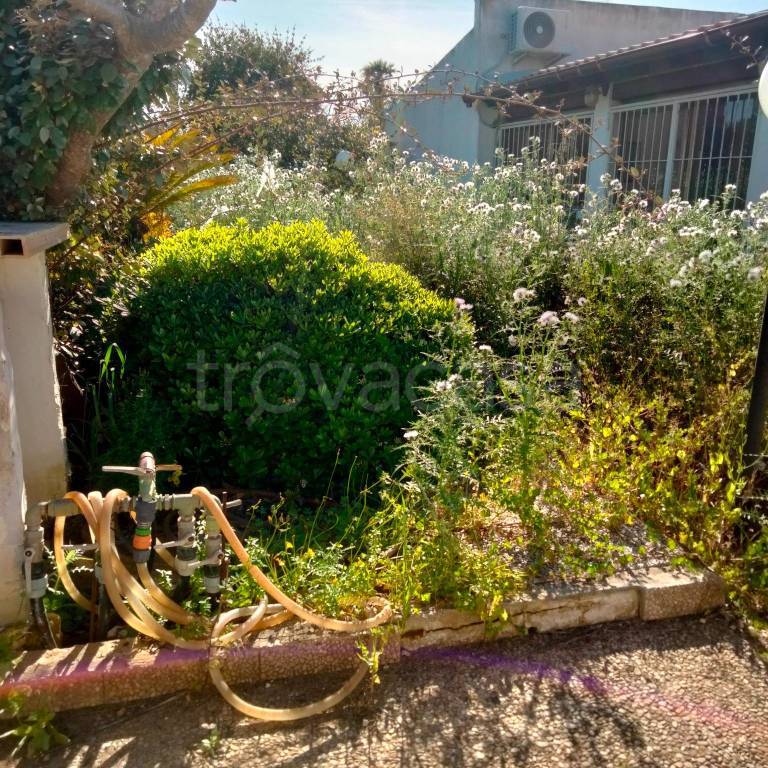 immagine annuncio 12 di 14