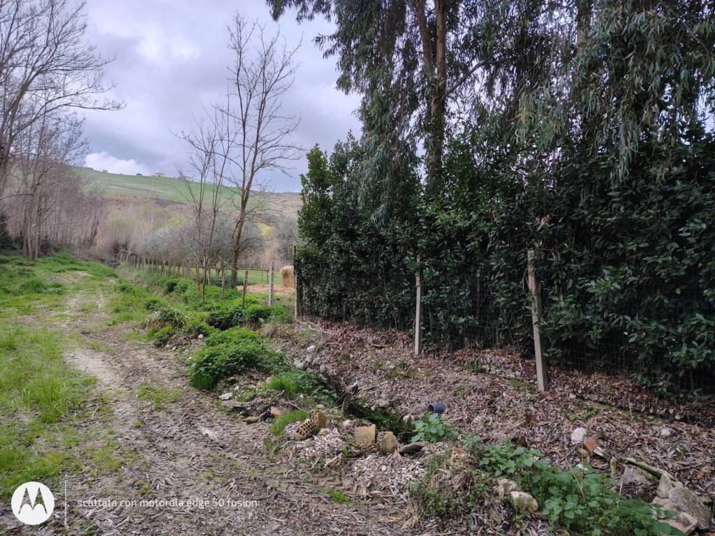 immagine annuncio 3 di 11