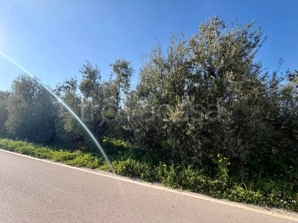 immagine annuncio 4 di 6