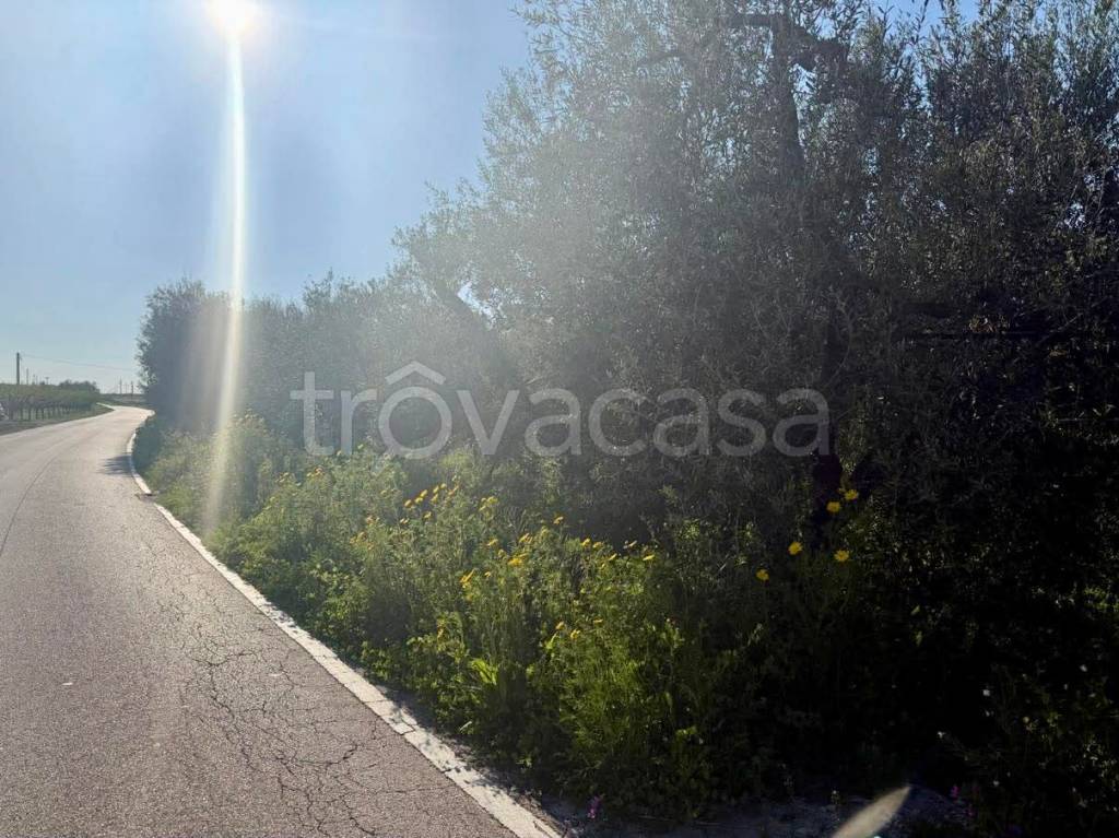 immagine annuncio 5 di 6