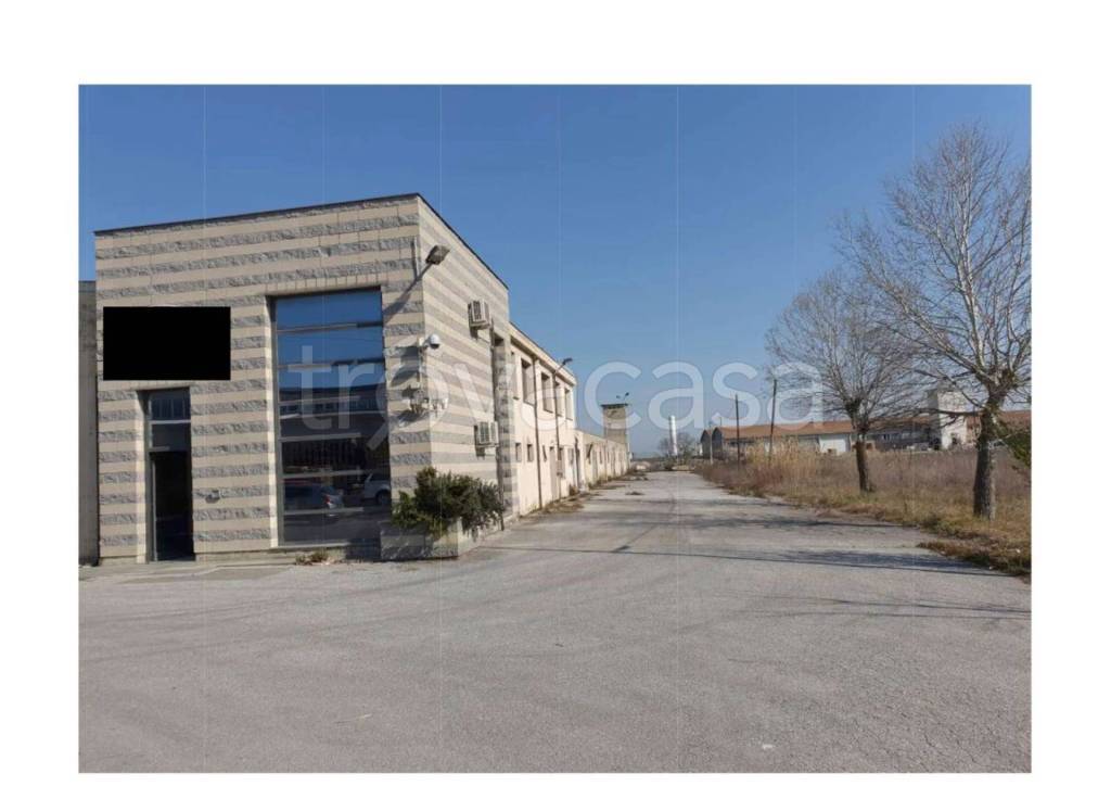 immagine annuncio 3 di 12