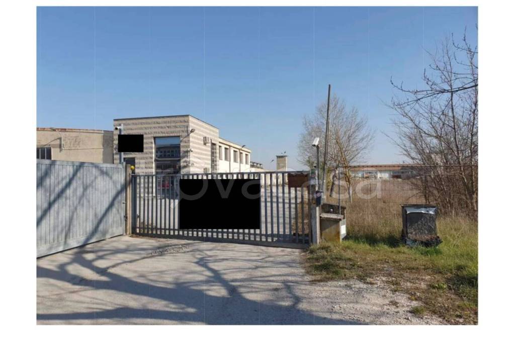 immagine annuncio 5 di 12